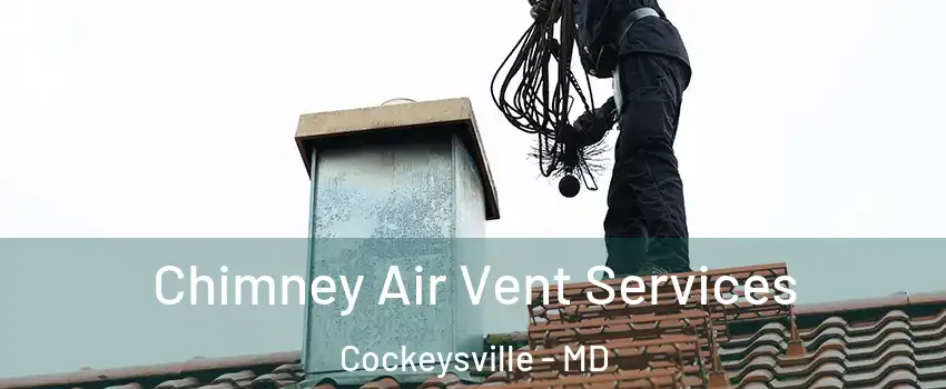  Chimney Air Vent Services Cockeysville - MD