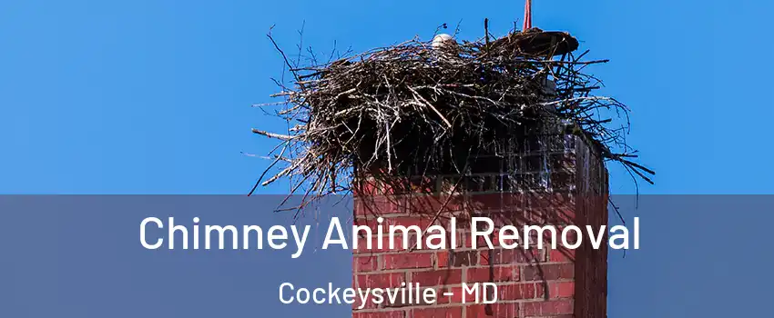 Chimney Animal Removal Cockeysville - MD