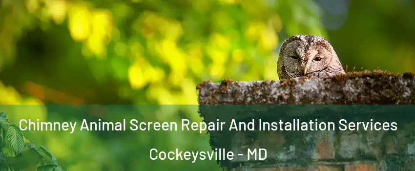  Chimney Animal Screen Repair And Installation Services Cockeysville - MD