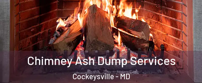  Chimney Ash Dump Services Cockeysville - MD