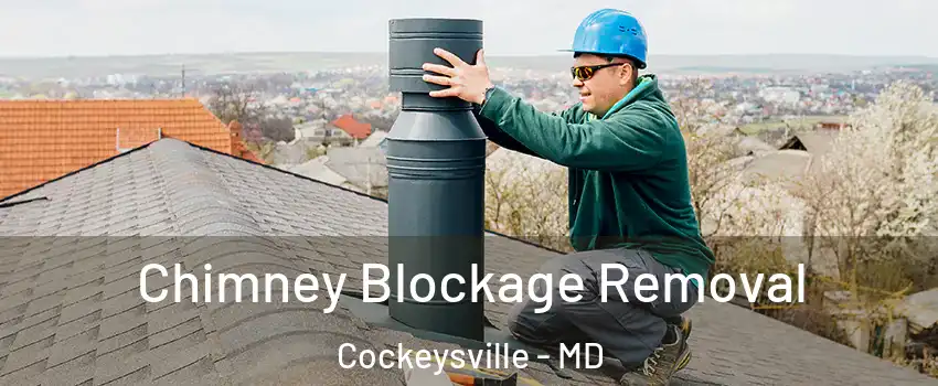  Chimney Blockage Removal Cockeysville - MD