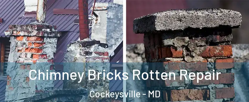  Chimney Bricks Rotten Repair Cockeysville - MD