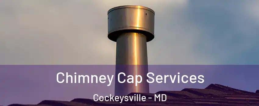  Chimney Cap Services Cockeysville - MD