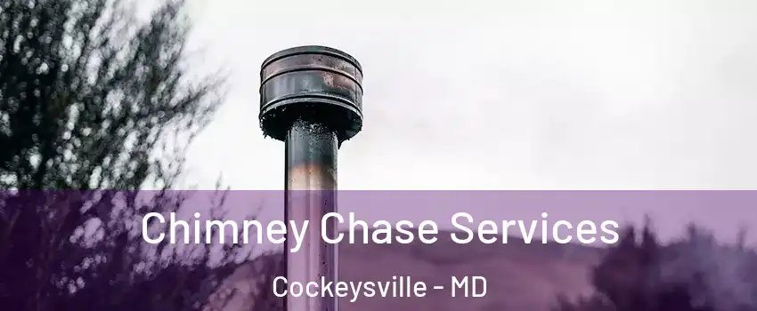 Chimney Chase Services Cockeysville - MD