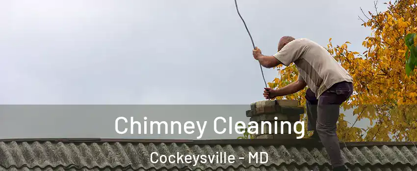  Chimney Cleaning Cockeysville - MD