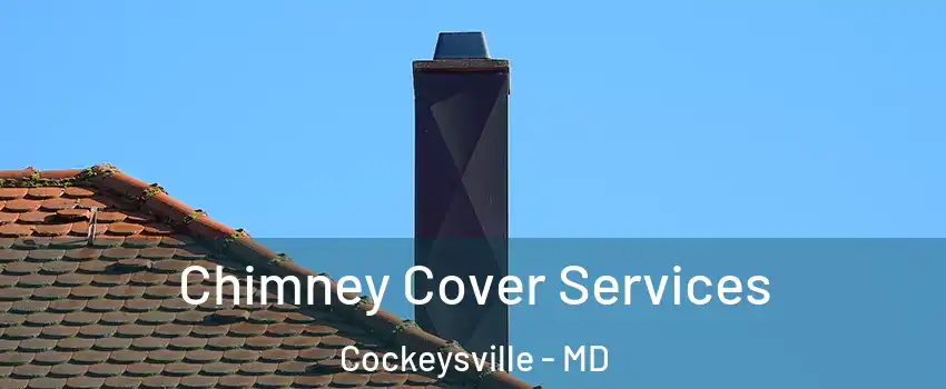  Chimney Cover Services Cockeysville - MD