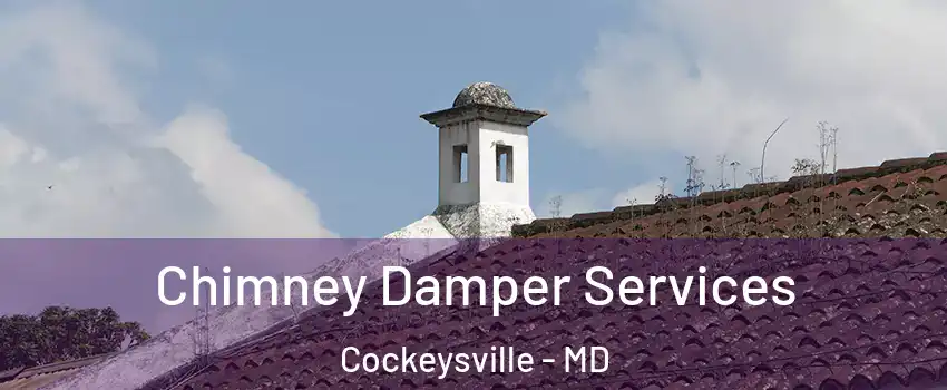  Chimney Damper Services Cockeysville - MD