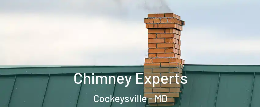  Chimney Experts Cockeysville - MD