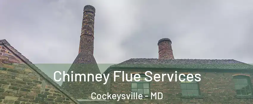  Chimney Flue Services Cockeysville - MD