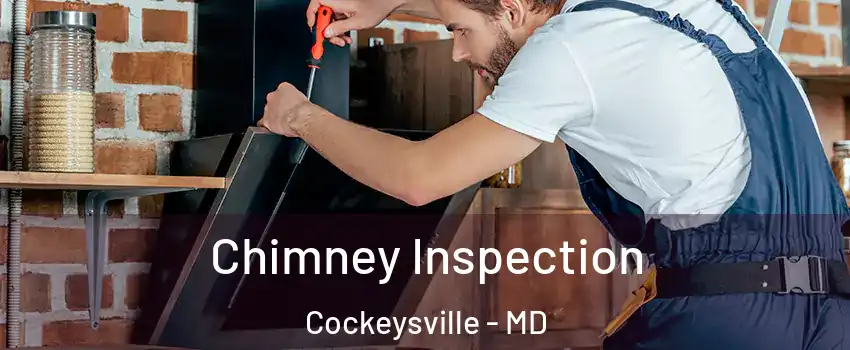  Chimney Inspection Cockeysville - MD