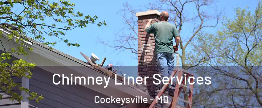  Chimney Liner Services Cockeysville - MD