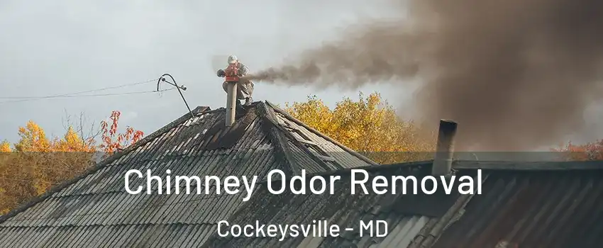  Chimney Odor Removal Cockeysville - MD