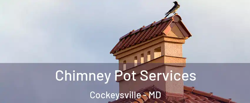  Chimney Pot Services Cockeysville - MD