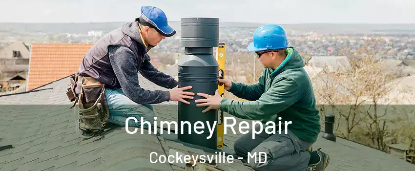  Chimney Repair Cockeysville - MD