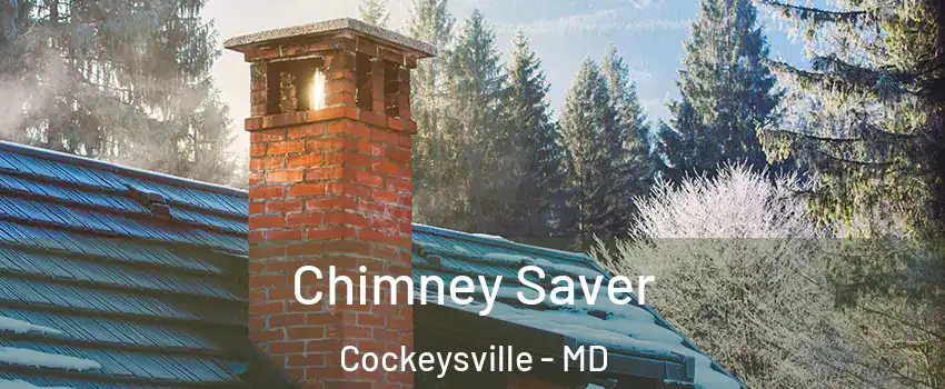  Chimney Saver Cockeysville - MD