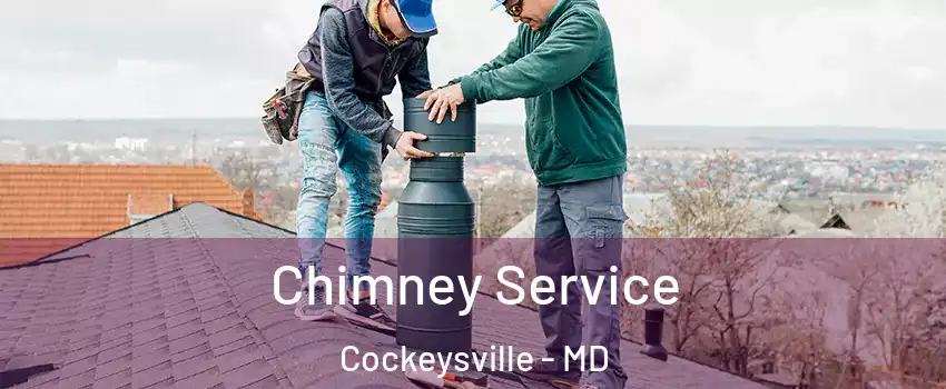  Chimney Service Cockeysville - MD