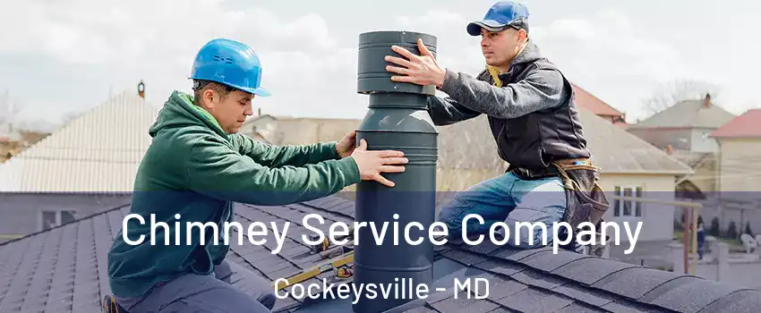  Chimney Service Company Cockeysville - MD