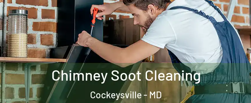 Chimney Soot Cleaning Cockeysville - MD