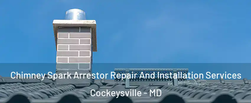  Chimney Spark Arrestor Repair And Installation Services Cockeysville - MD