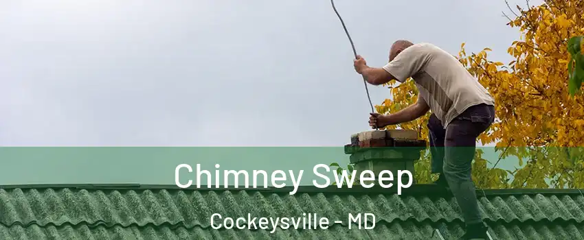  Chimney Sweep Cockeysville - MD