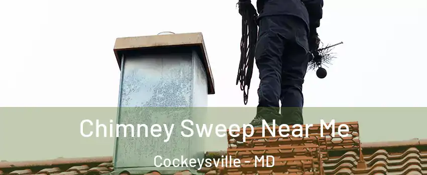  Chimney Sweep Near Me Cockeysville - MD
