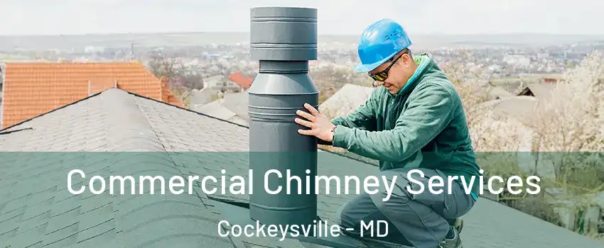  Commercial Chimney Services Cockeysville - MD