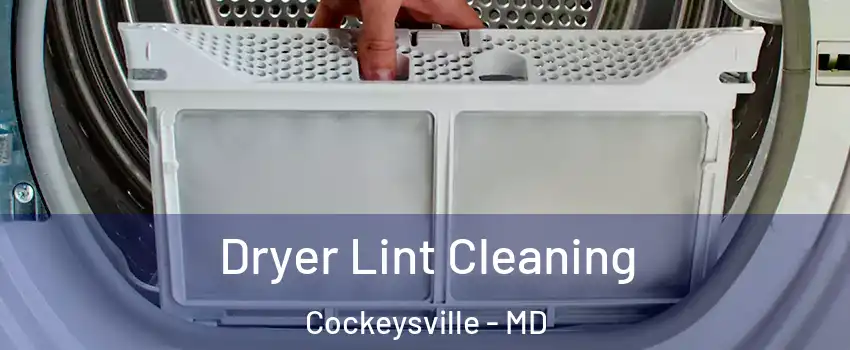  Dryer Lint Cleaning Cockeysville - MD