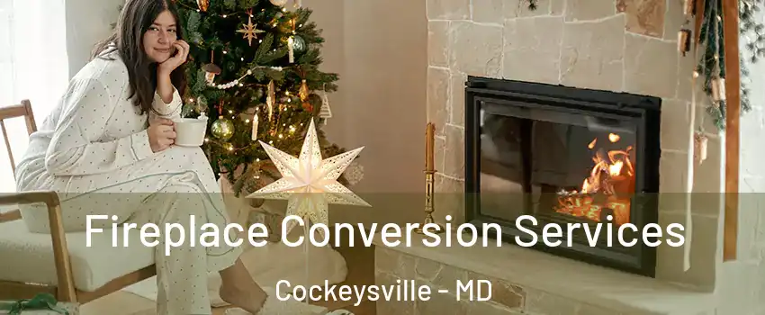  Fireplace Conversion Services Cockeysville - MD