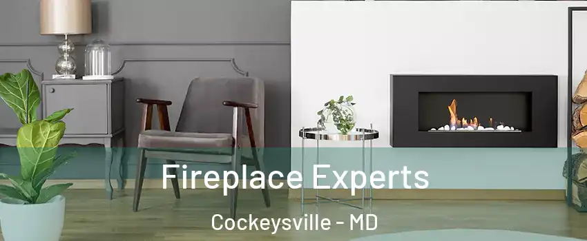  Fireplace Experts Cockeysville - MD