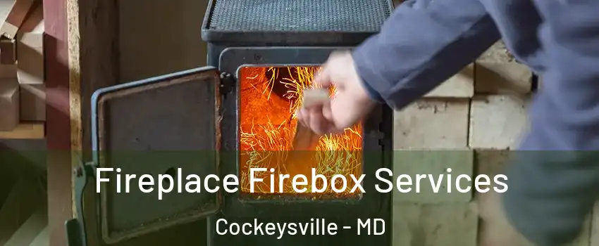  Fireplace Firebox Services Cockeysville - MD