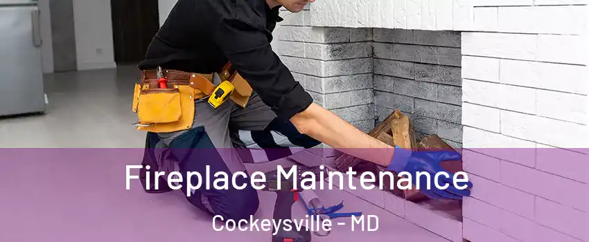  Fireplace Maintenance Cockeysville - MD