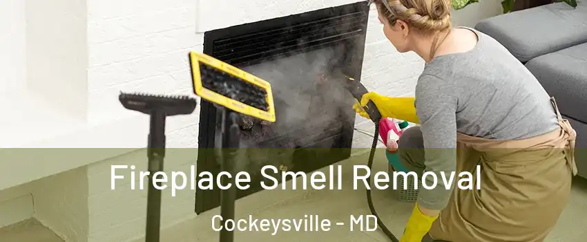  Fireplace Smell Removal Cockeysville - MD