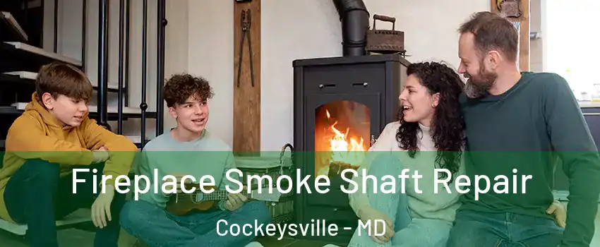  Fireplace Smoke Shaft Repair Cockeysville - MD