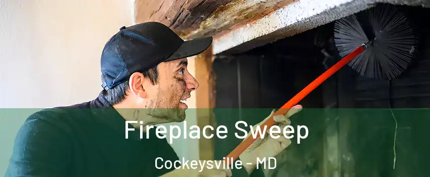  Fireplace Sweep Cockeysville - MD