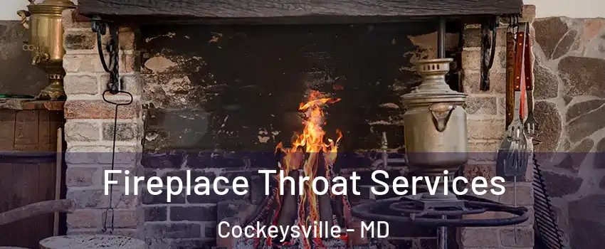  Fireplace Throat Services Cockeysville - MD