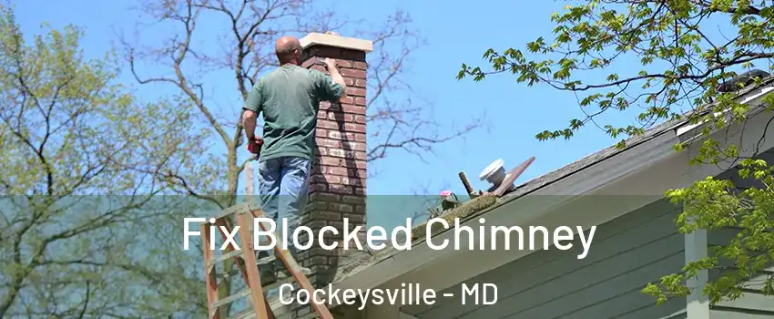  Fix Blocked Chimney Cockeysville - MD