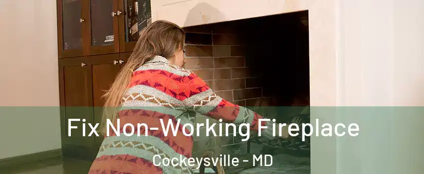  Fix Non-Working Fireplace Cockeysville - MD