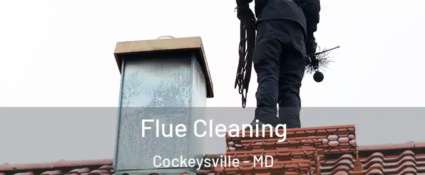 Flue Cleaning Cockeysville - MD