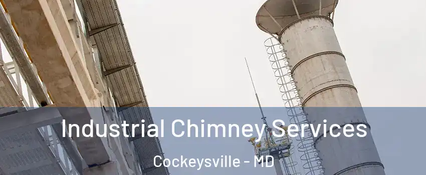  Industrial Chimney Services Cockeysville - MD