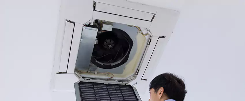 Benefits of Professional Air Duct Cleaning in Cockeysville, Maryland