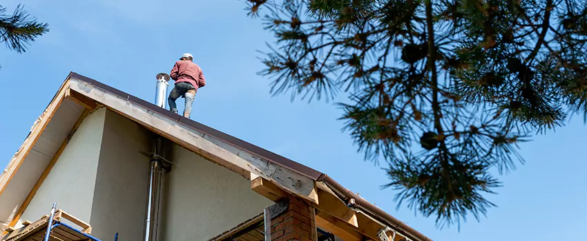 Birds Removal Contractors from Chimney in Cockeysville, MD