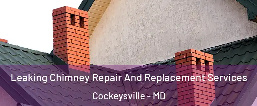 Leaking Chimney Repair And Replacement Services Cockeysville - MD