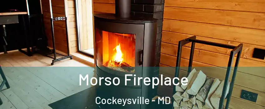  Morso Fireplace Cockeysville - MD