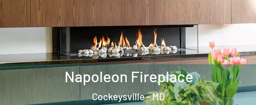  Napoleon Fireplace Cockeysville - MD