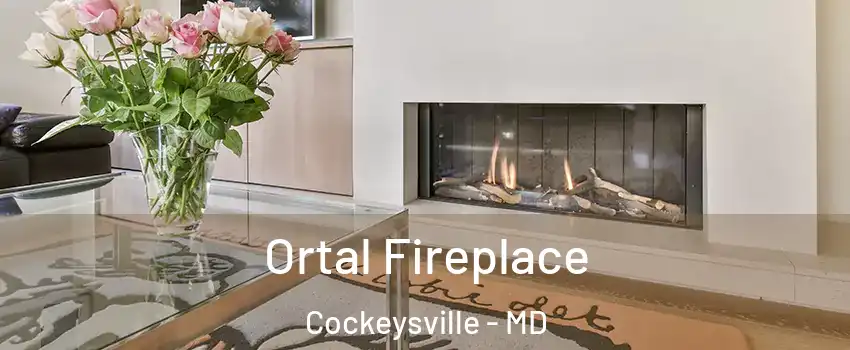  Ortal Fireplace Cockeysville - MD