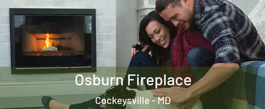  Osburn Fireplace Cockeysville - MD