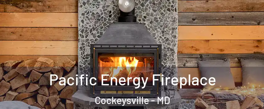  Pacific Energy Fireplace Cockeysville - MD