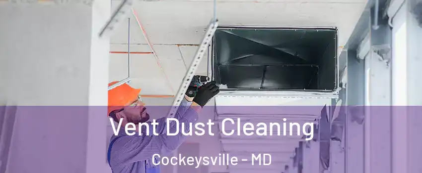  Vent Dust Cleaning Cockeysville - MD